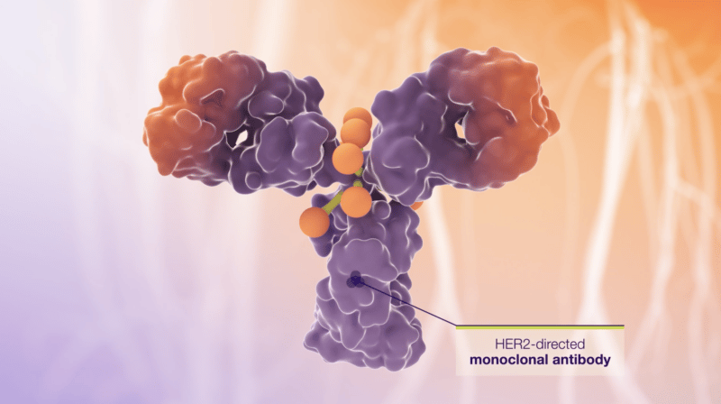 Monoclonal antibody