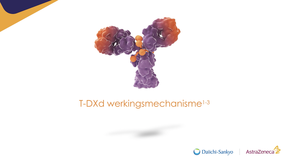 T-DXd werkingsmechanisme